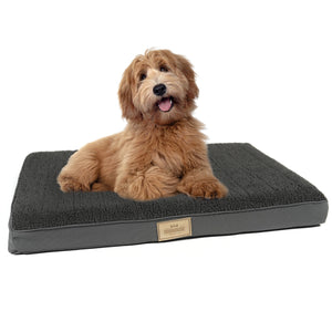 EMILY Ergonomisches Hundebett für kleine Hunde (M)