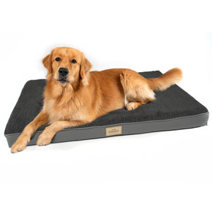 LUNA Ergonomisches Hundebett für mittelgroße Hunde (L)